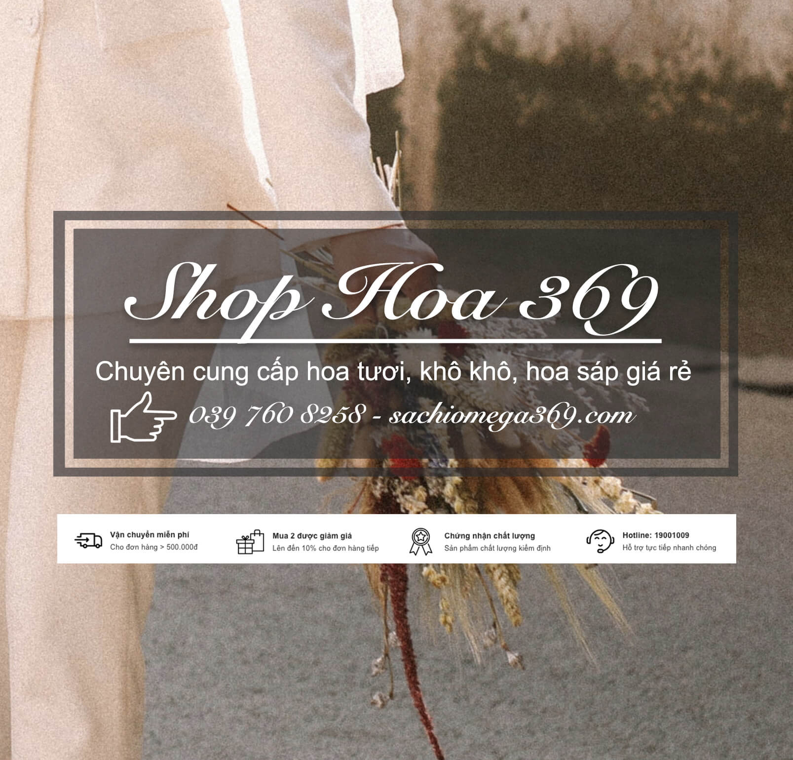 shop hoa 369