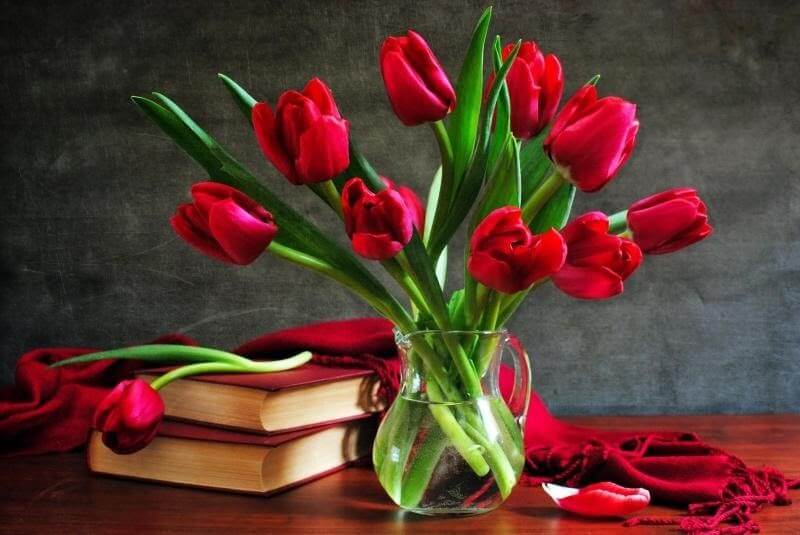 Ý nghĩa hoa tulip đỏ 