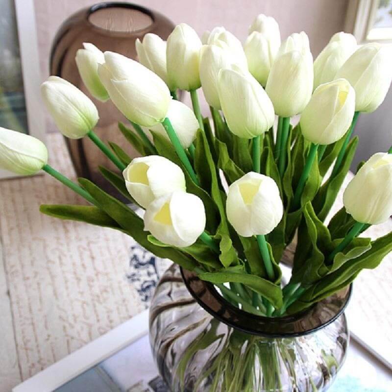 Sự thuần khiết của hoa tulip trắng