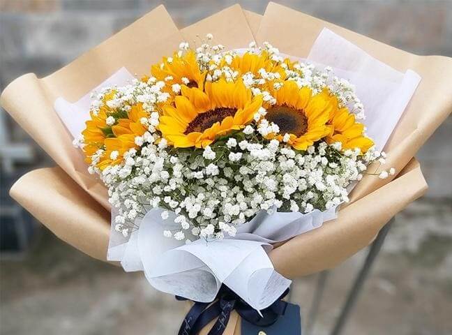 Hoa hướng dương là loài hoa biểu trưng cho mặt trời