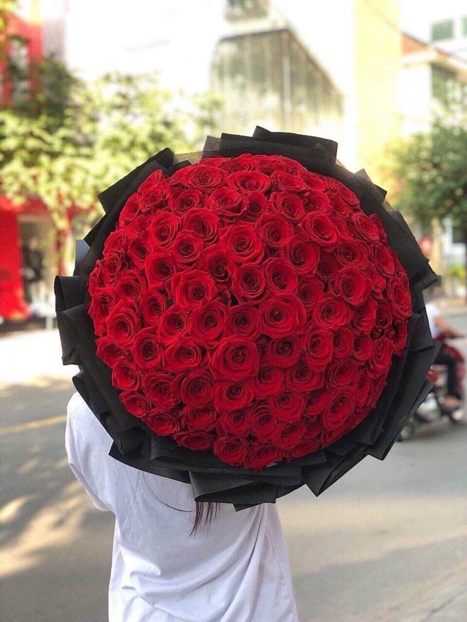 Hoa hồng là một trong những loài hoa đẹp nhất thế giới