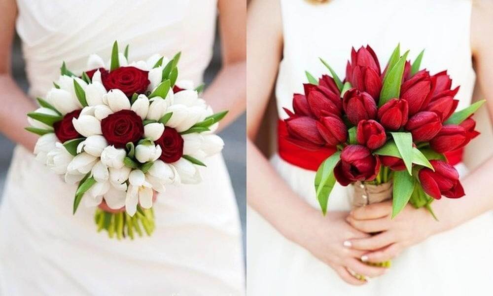 Kết hợp với hoa tulip để tạo thành bó hoa bắt mắt 