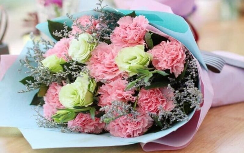 Khám phá ý nghĩa của hoa cẩm chướng – loài hoa của mẹ