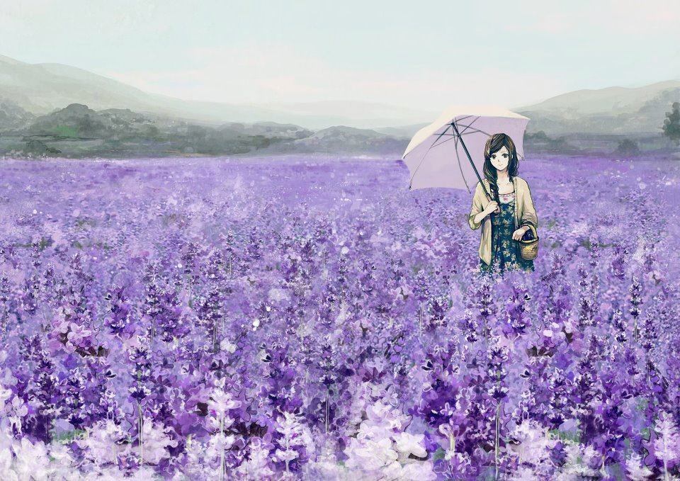 Ý nghĩa của hoa violet với sắc tím thủy chung
